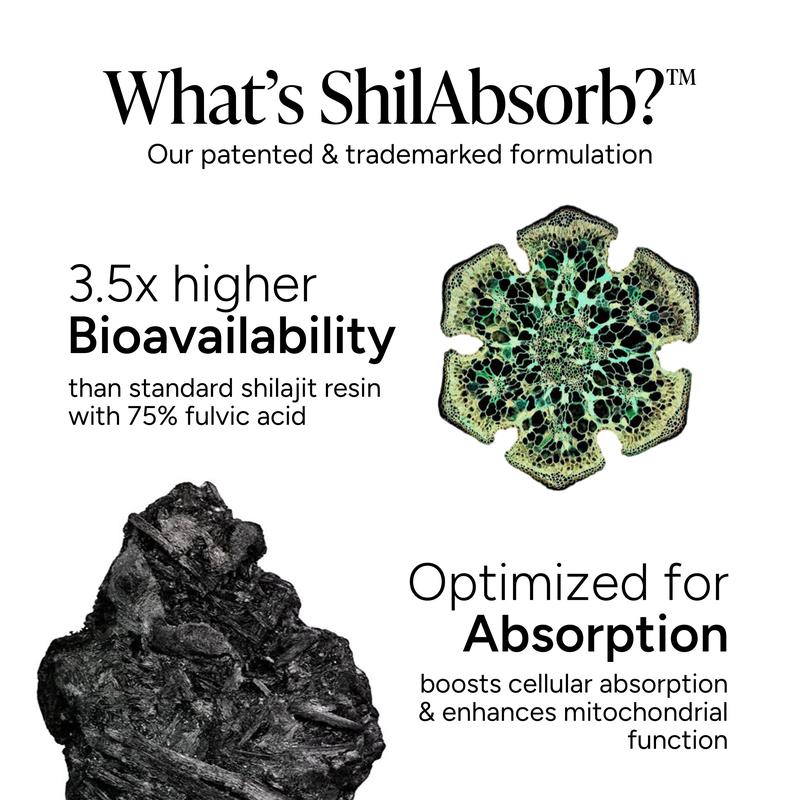 Root Labs Alpha Gummies Buy 1 Get 1 Free + Free Gifts Black Friday Sale