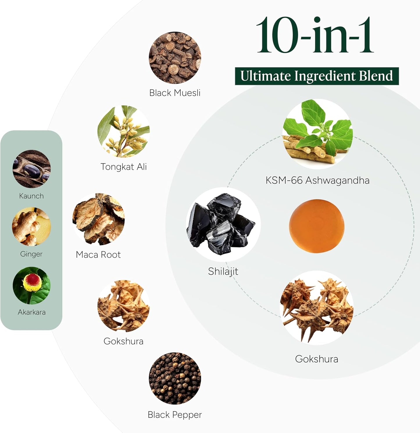 Root Labs Alpha Gummies Buy 1 Get 1 Free + Free Gifts Black Friday Sale